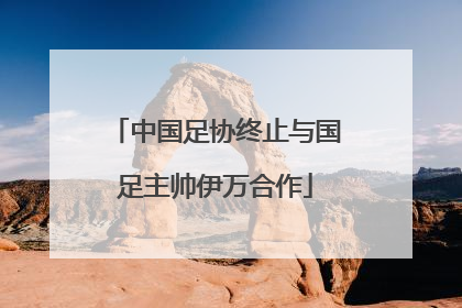 中国足协终止与国足主帅伊万合作