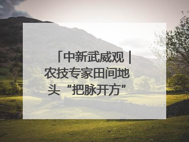 中新武威观｜农技专家田间地头“把脉开方”送“及时雨”