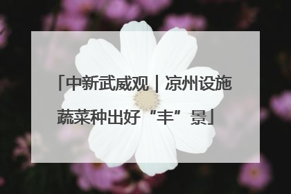 中新武威观｜凉州设施蔬菜种出好“丰”景
