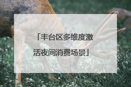 丰台区多维度激活夜间消费场景