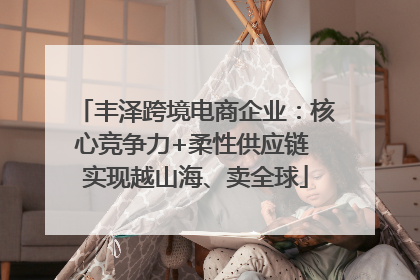 丰泽跨境电商企业：核心竞争力+柔性供应链 实现越山海、卖全球