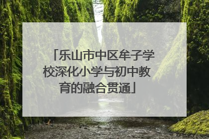 乐山市中区牟子学校深化小学与初中教育的融合贯通