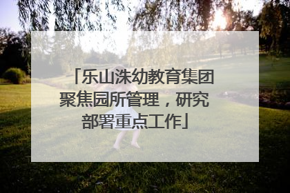 乐山洙幼教育集团聚焦园所管理，研究部署重点工作