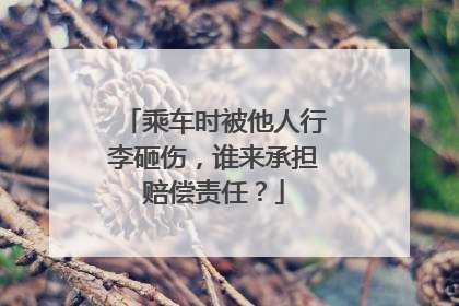 乘车时被他人行李砸伤，谁来承担赔偿责任？