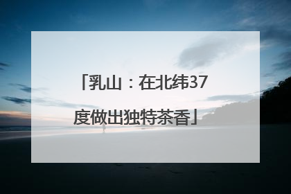 乳山：在北纬37度做出独特茶香