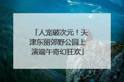 人宠破次元！天津东丽郊野公园上演端午奇幻狂欢
