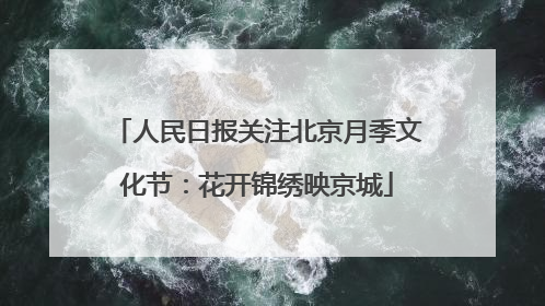 人民日报关注北京月季文化节：花开锦绣映京城