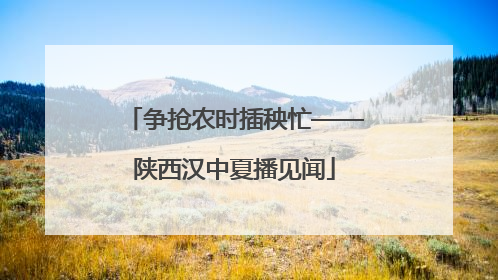 争抢农时插秧忙——陕西汉中夏播见闻