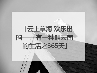 云上草海 欢乐出圈——有一种叫云南的生活之365天