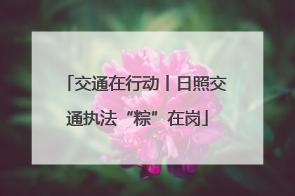交通在行动丨日照交通执法“粽”在岗