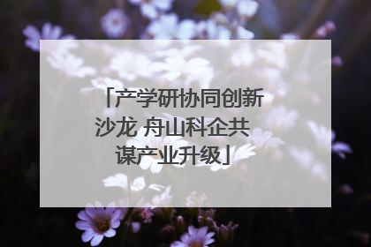 产学研协同创新沙龙 舟山科企共谋产业升级