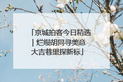 京城拍客今日精选｜烂缦胡同寻美意 大吉巷里探新标
