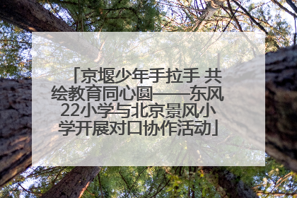 京堰少年手拉手 共绘教育同心圆——东风22小学与北京景风小学开展对口协作活动