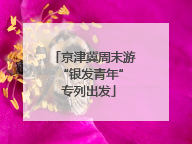 京津冀周末游 “银发青年”专列出发