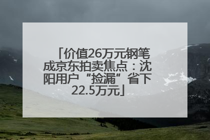 价值26万元钢笔成京东拍卖焦点：沈阳用户“捡漏”省下22.5万元