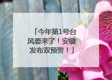 今年第1号台风要来了！安徽发布双预警！