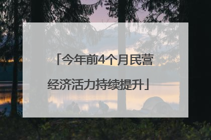 今年前4个月民营经济活力持续提升