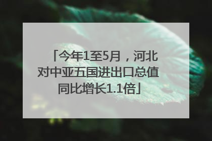 今年1至5月，河北对中亚五国进出口总值同比增长1.1倍
