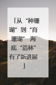 从“种珊瑚”到“育珊瑚” 海底“造林”有了新进展