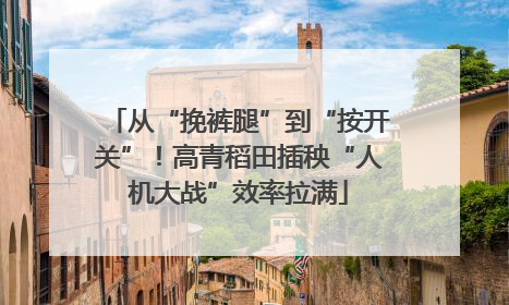 从“挽裤腿”到“按开关”！高青稻田插秧“人机大战”效率拉满
