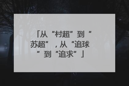 从“村超”到“苏超”，从“追球”到“追求”