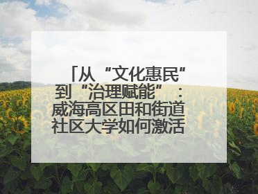 从“文化惠民”到“治理赋能”：威海高区田和街道社区大学如何激活基层服务新动能