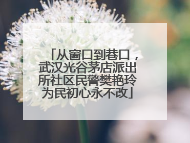 从窗口到巷口，武汉光谷茅店派出所社区民警樊艳玲为民初心永不改