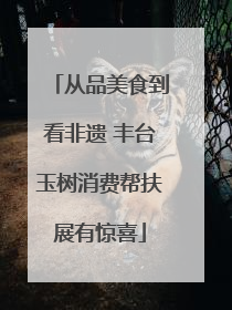 从品美食到看非遗 丰台玉树消费帮扶展有惊喜