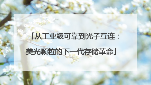 从工业级可靠到光子互连：美光颗粒的下一代存储革命
