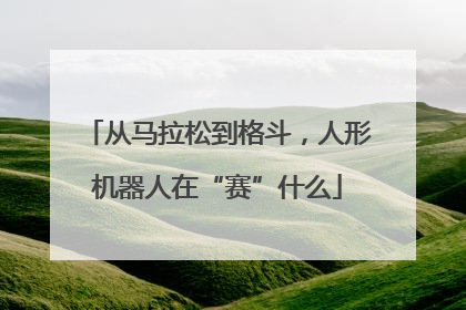 从马拉松到格斗，人形机器人在“赛”什么