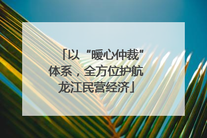 以“暖心仲裁”体系，全方位护航龙江民营经济