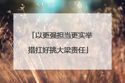 以更强担当更实举措扛好挑大梁责任