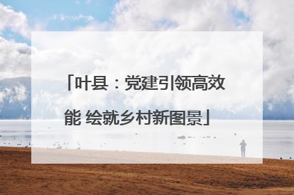 叶县：党建引领高效能 绘就乡村新图景