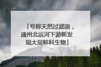 号称天然过滤器，通州北运河下游新发现大量蚌科生物