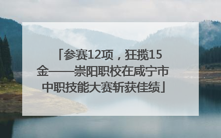 参赛12项，狂揽15金——崇阳职校在咸宁市中职技能大赛斩获佳绩