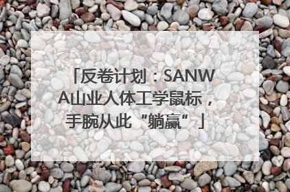 反卷计划：SANWA山业人体工学鼠标，手腕从此“躺赢”