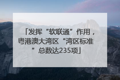发挥“软联通”作用，粤港澳大湾区“湾区标准”总数达235项