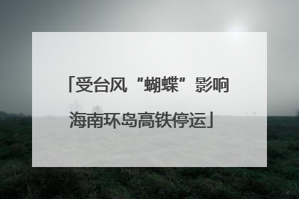受台风“蝴蝶”影响 海南环岛高铁停运
