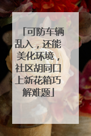 可防车辆乱入，还能美化环境，社区胡同口上新花箱巧解难题