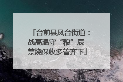 台前县凤台街道：战高温守“粮”辰 禁烧保收多管齐下