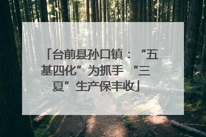台前县孙口镇：“五基四化”为抓手 “三夏”生产保丰收