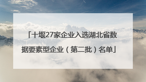十堰27家企业入选湖北省数据要素型企业（第二批）名单