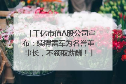 千亿市值A股公司宣布：续聘雷军为名誉董事长，不领取薪酬！