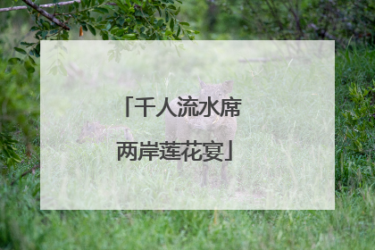 千人流水席 两岸莲花宴