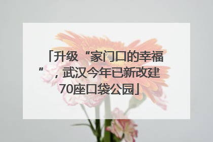 升级“家门口的幸福”，武汉今年已新改建70座口袋公园