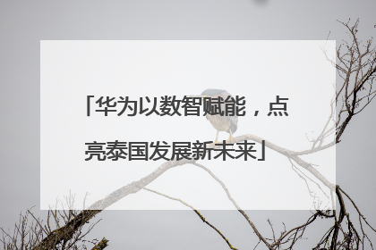 华为以数智赋能，点亮泰国发展新未来