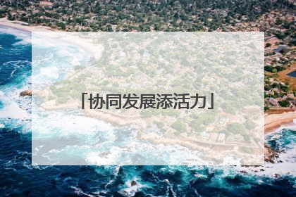 协同发展添活力