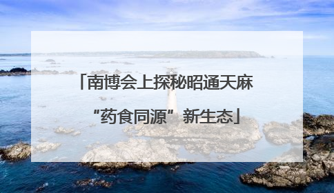 南博会上探秘昭通天麻“药食同源”新生态