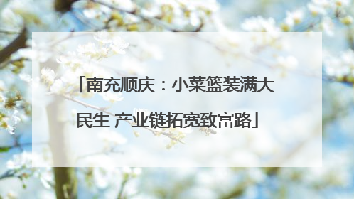 南充顺庆：小菜篮装满大民生 产业链拓宽致富路