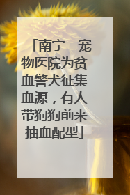 南宁一宠物医院为贫血警犬征集血源，有人带狗狗前来抽血配型